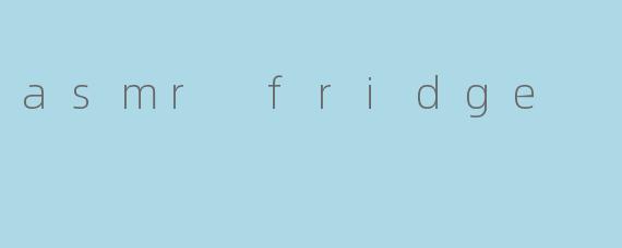 asmr fridge
